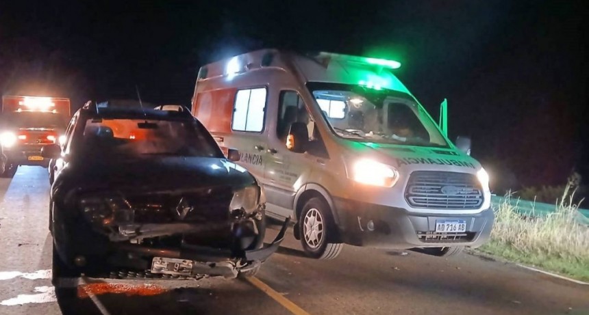 Accidente de Tránsito en Ruta Prov 51 - Embisten un Animal en plena ruta