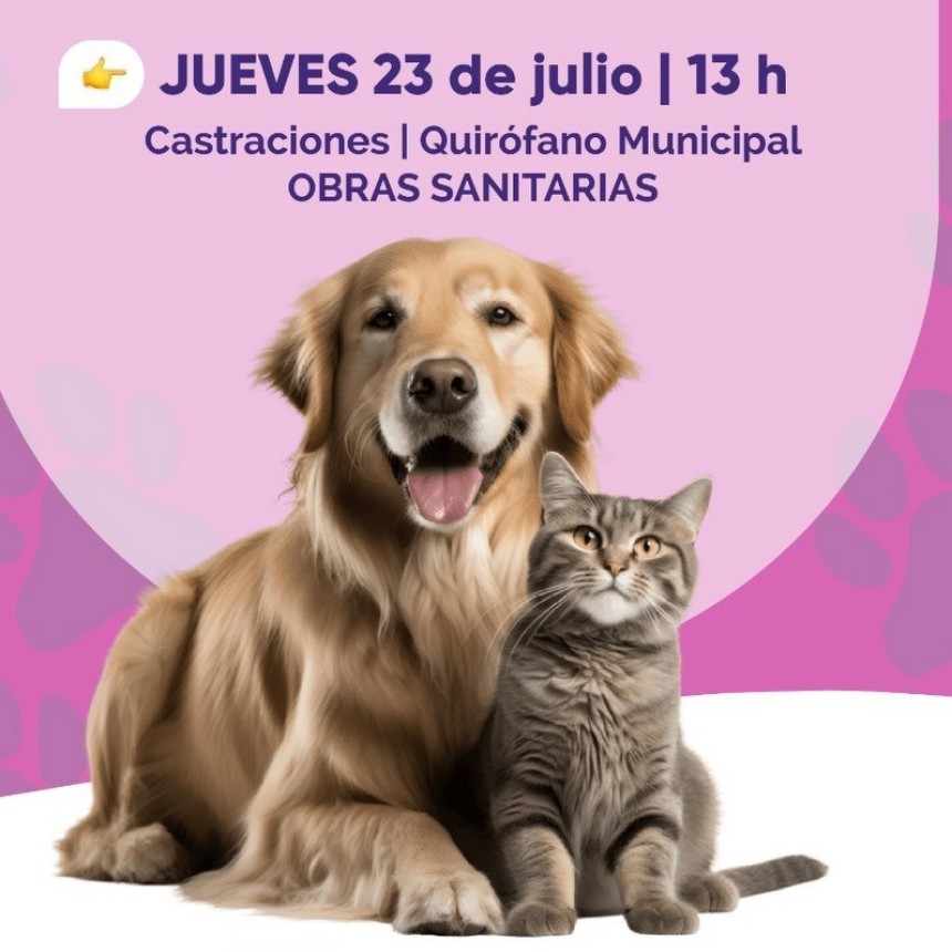 CASTRACIONES GRATUITAS EN URDINARRAIN: Este Jueves 23 a partir de las 13 hs
