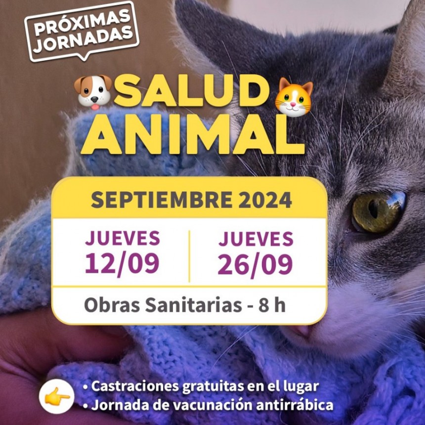 Este Jueves 12 se realizan Castraciones y vacunación antirrábica