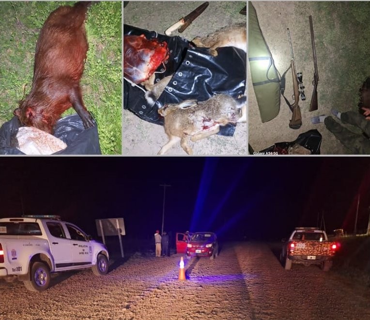 En Urdinarrain detienen a tres hombres por tenencia ilegal de armas de fuego