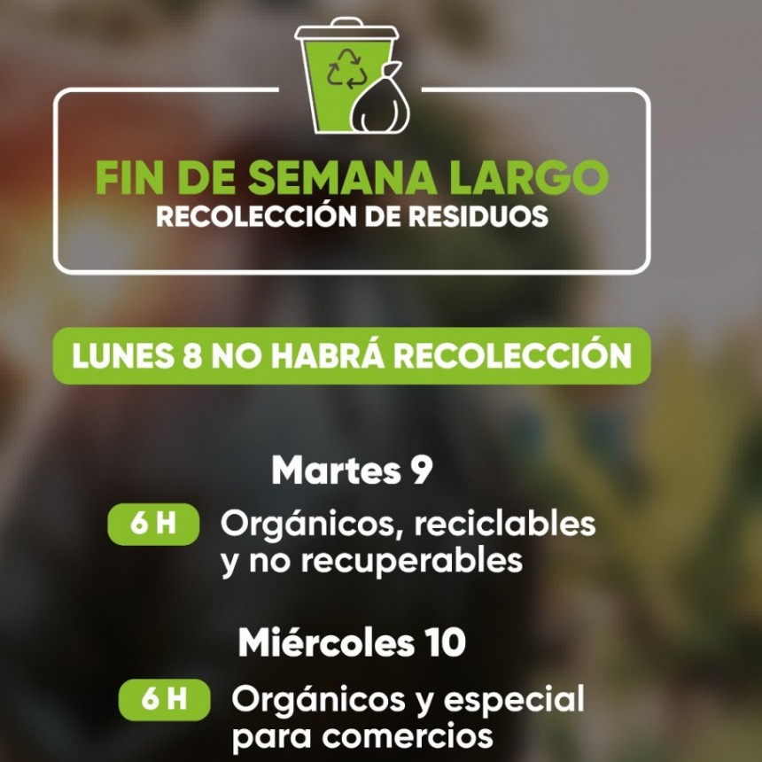 Fin de semana largo | El lunes 8 no habrá recolección de residuos
